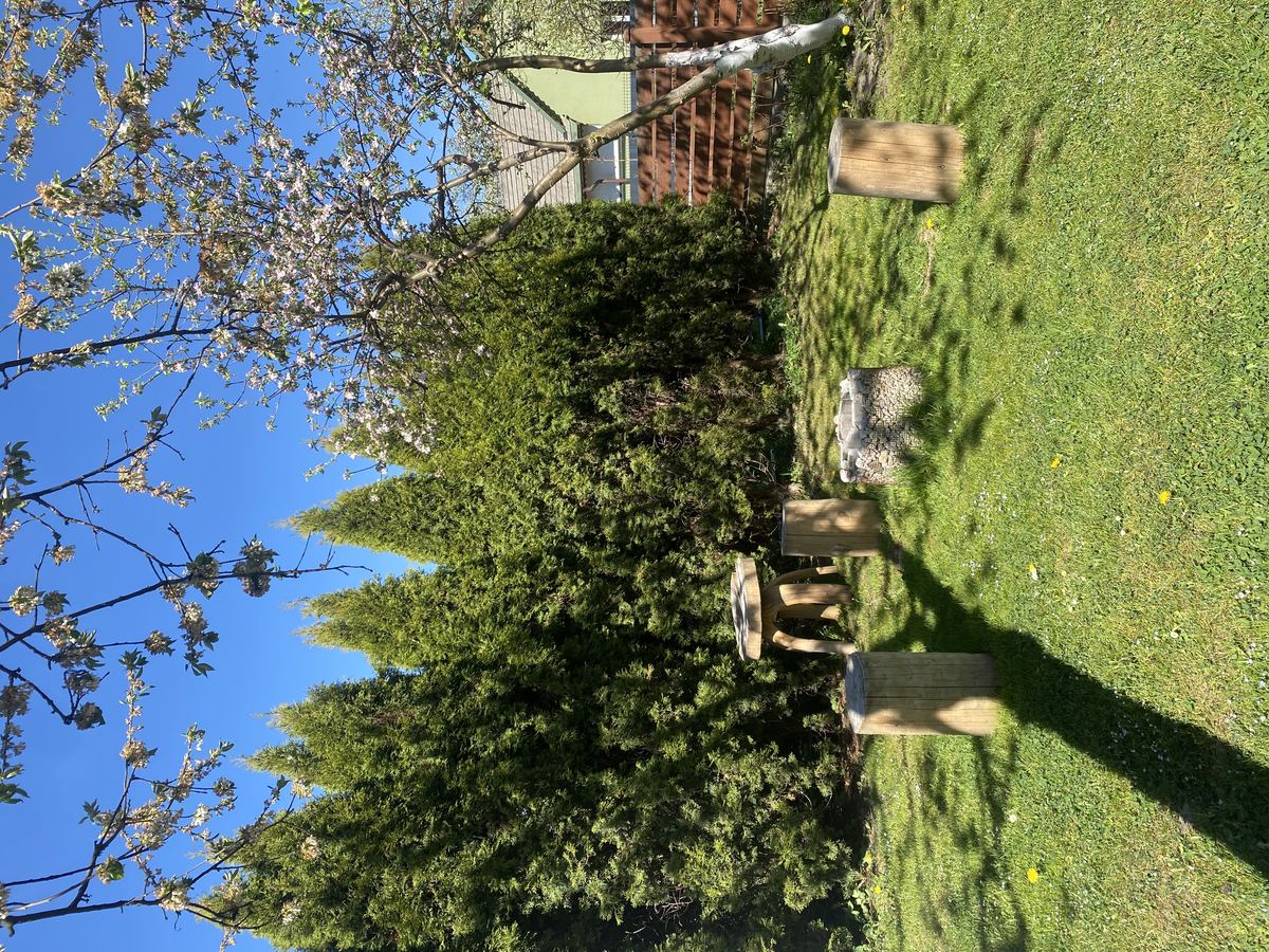 Miejsce na ognisko